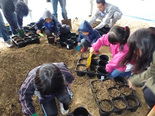 育苗ポットに子供たちがスコップで土を入れている写真